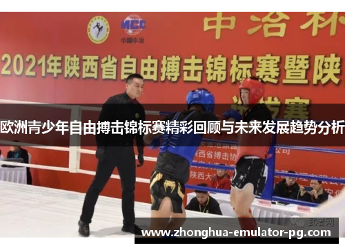欧洲青少年自由搏击锦标赛精彩回顾与未来发展趋势分析