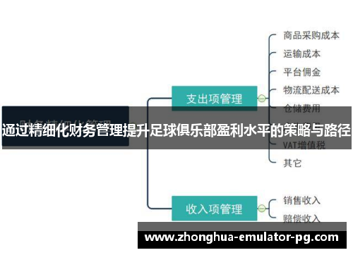 通过精细化财务管理提升足球俱乐部盈利水平的策略与路径