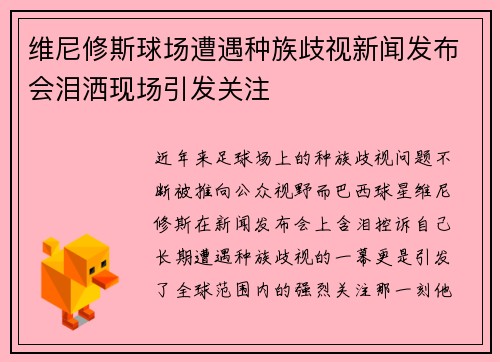维尼修斯球场遭遇种族歧视新闻发布会泪洒现场引发关注